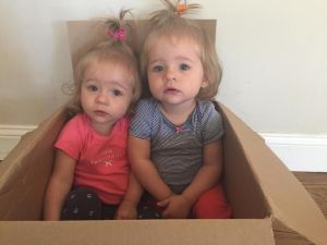 twins in a box Sept 2014